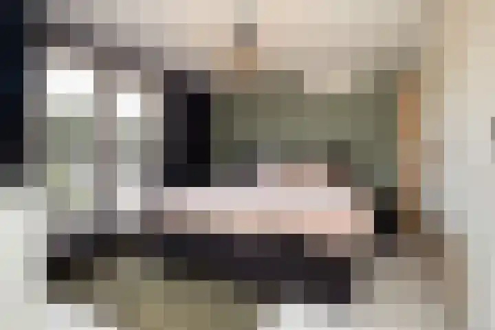 van Assendelftstraat 54 Waalwijk thumbnail 37