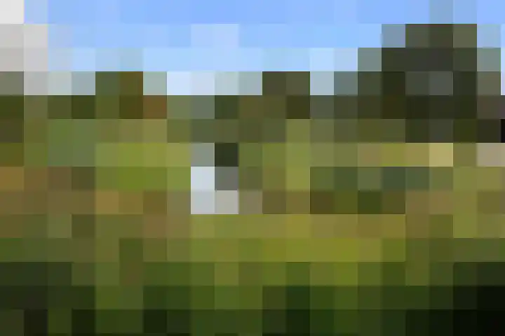 van Assendelftstraat 54 Waalwijk thumbnail 44