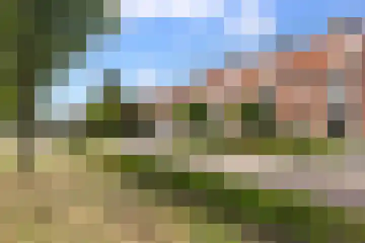 van Assendelftstraat 54 Waalwijk thumbnail 6
