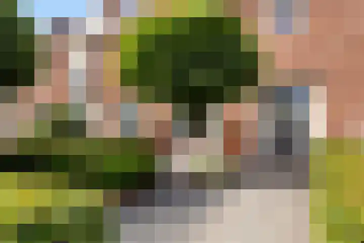 van Assendelftstraat 54 Waalwijk thumbnail 7