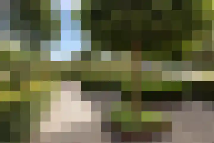 van Assendelftstraat 54 Waalwijk thumbnail 8