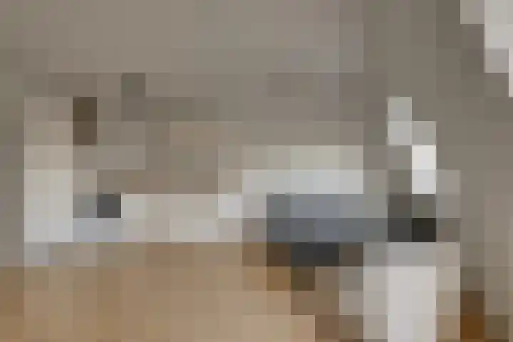 van Assendelftstraat 6 A Oegstgeest thumbnail 10