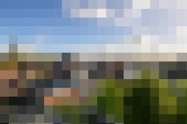van Assendelftstraat 6 A Oegstgeest thumbnail 16