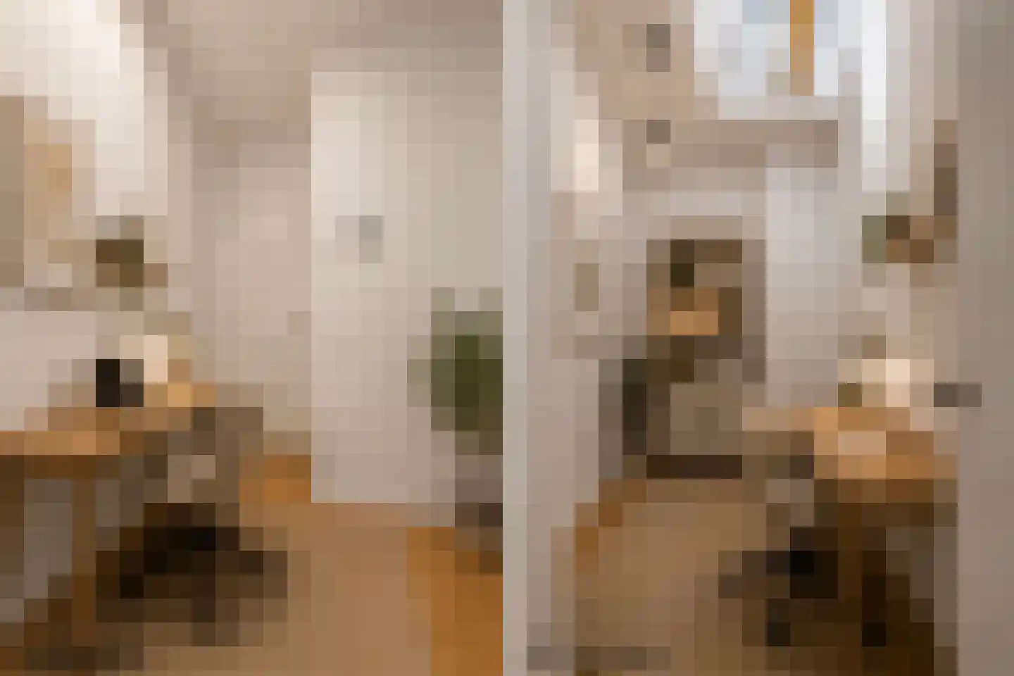 van Assendelftstraat 6 Oegstgeest thumbnail 21