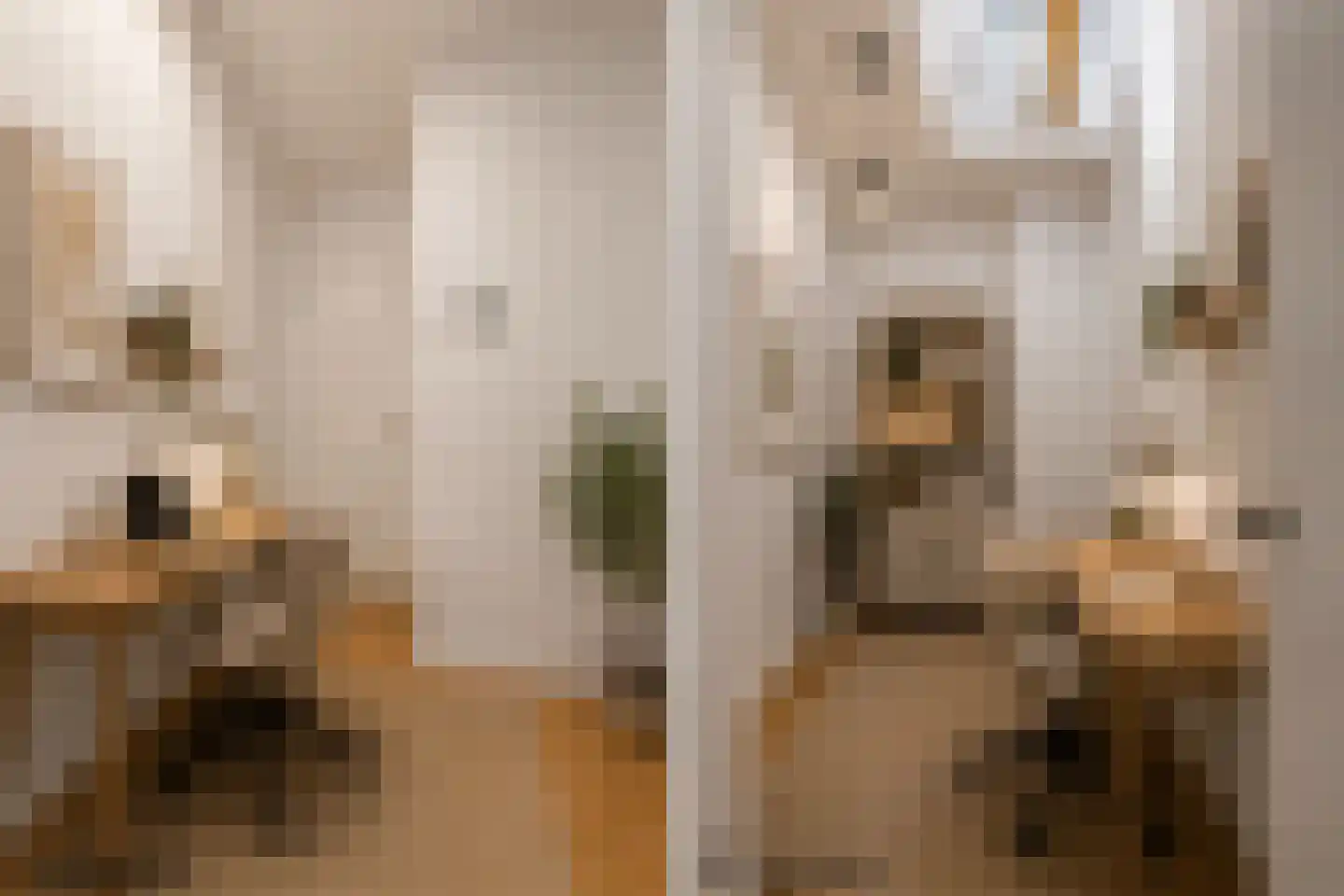 van Assendelftstraat 6 Oegstgeest thumbnail 22