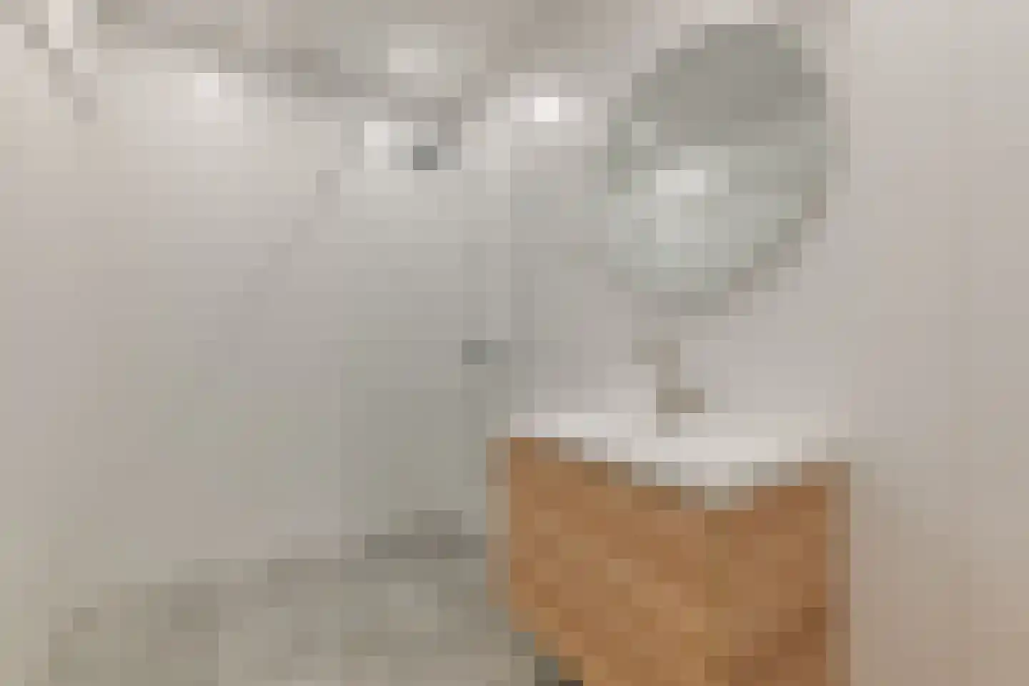 van Assendelftstraat 6 Oegstgeest thumbnail 25