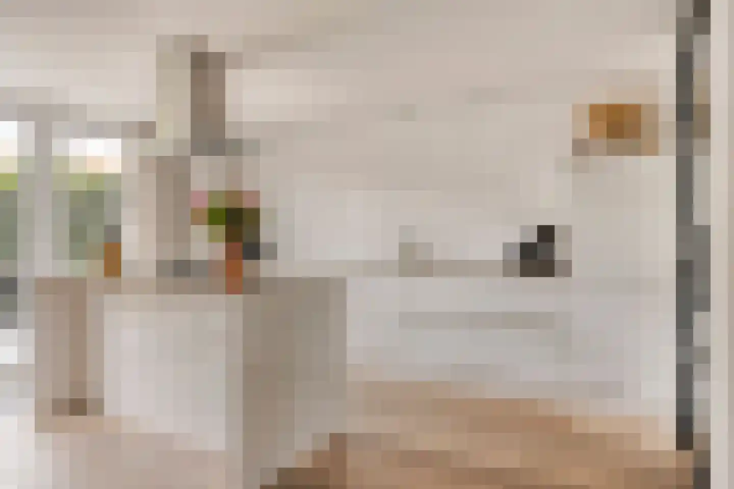 van Assendelftstraat 68 Waalwijk thumbnail 12