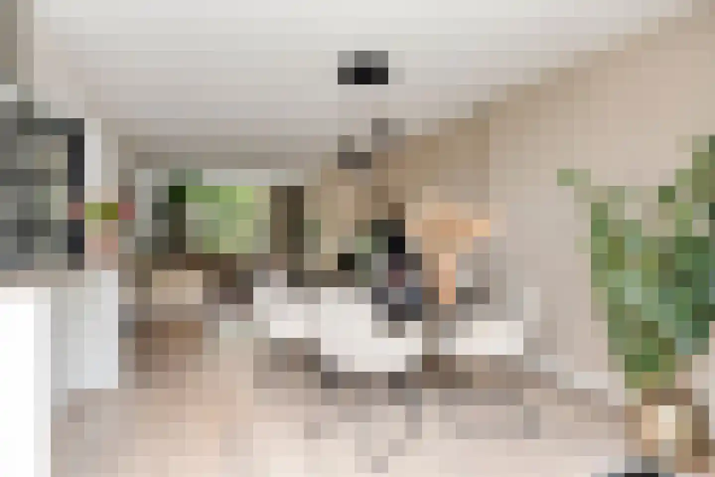 van Assendelftstraat 68 Waalwijk thumbnail 13