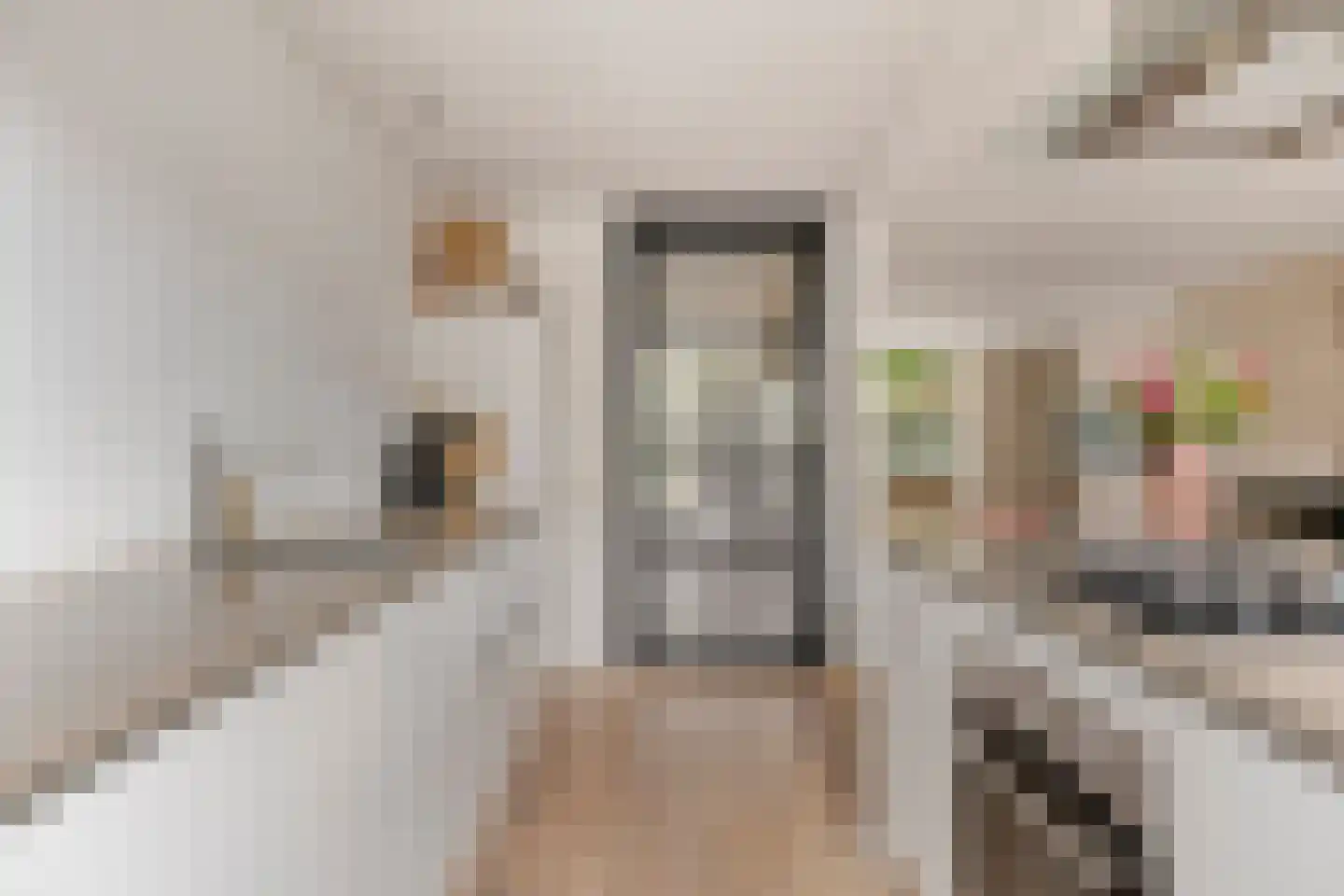 van Assendelftstraat 68 Waalwijk thumbnail 15