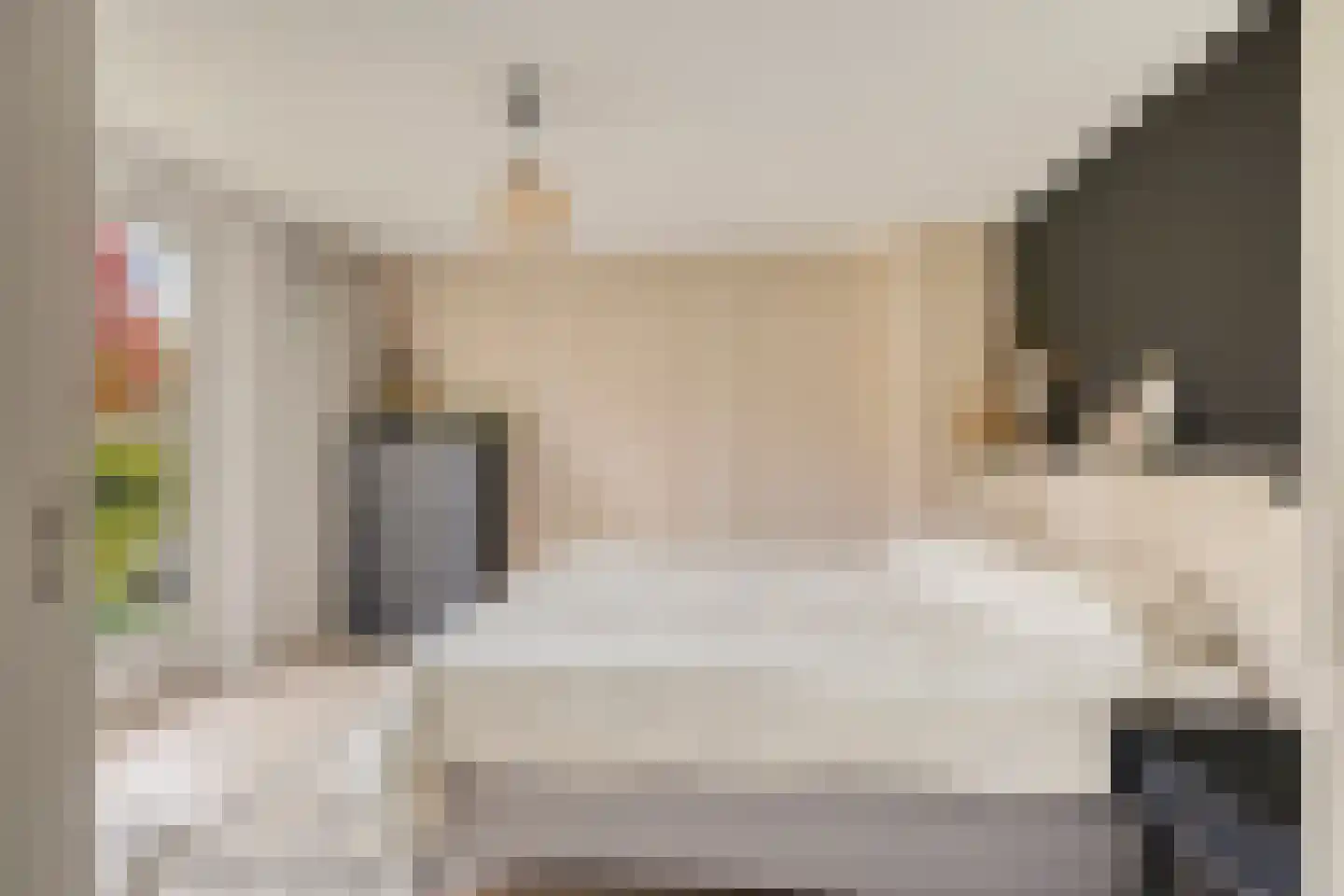 van Assendelftstraat 68 Waalwijk thumbnail 23