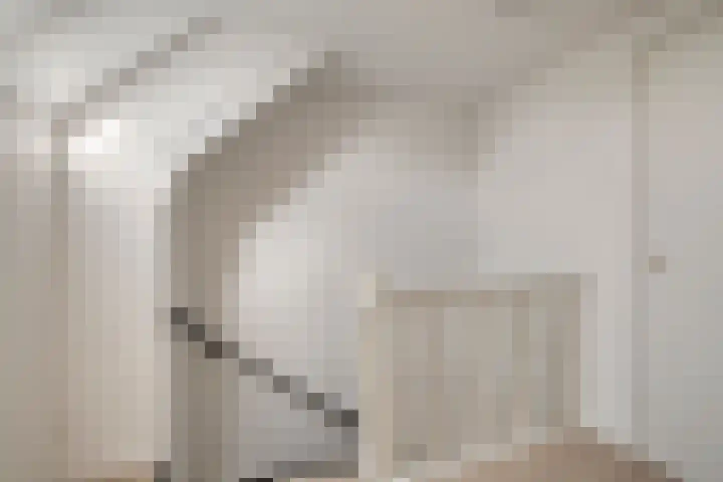 van Assendelftstraat 68 Waalwijk thumbnail 30