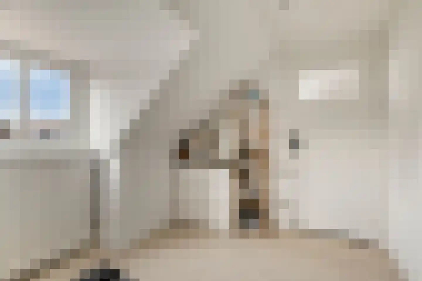 van Assendelftstraat 68 Waalwijk thumbnail 32