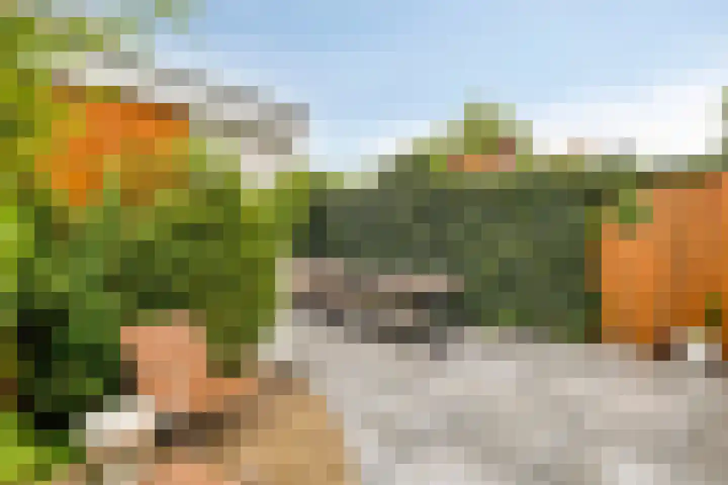 van Assendelftstraat 68 Waalwijk thumbnail 35