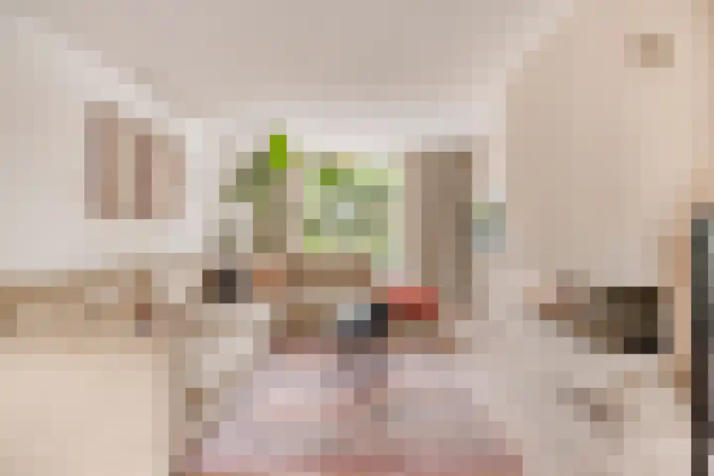 van Assendelftstraat 68 Waalwijk thumbnail 4