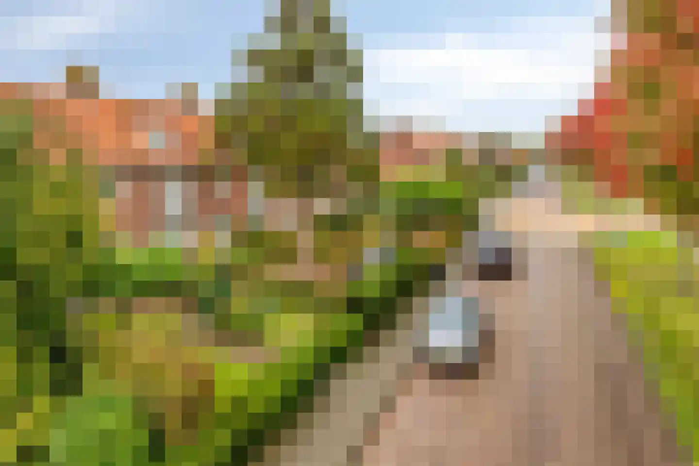 van Assendelftstraat 68 Waalwijk thumbnail 41
