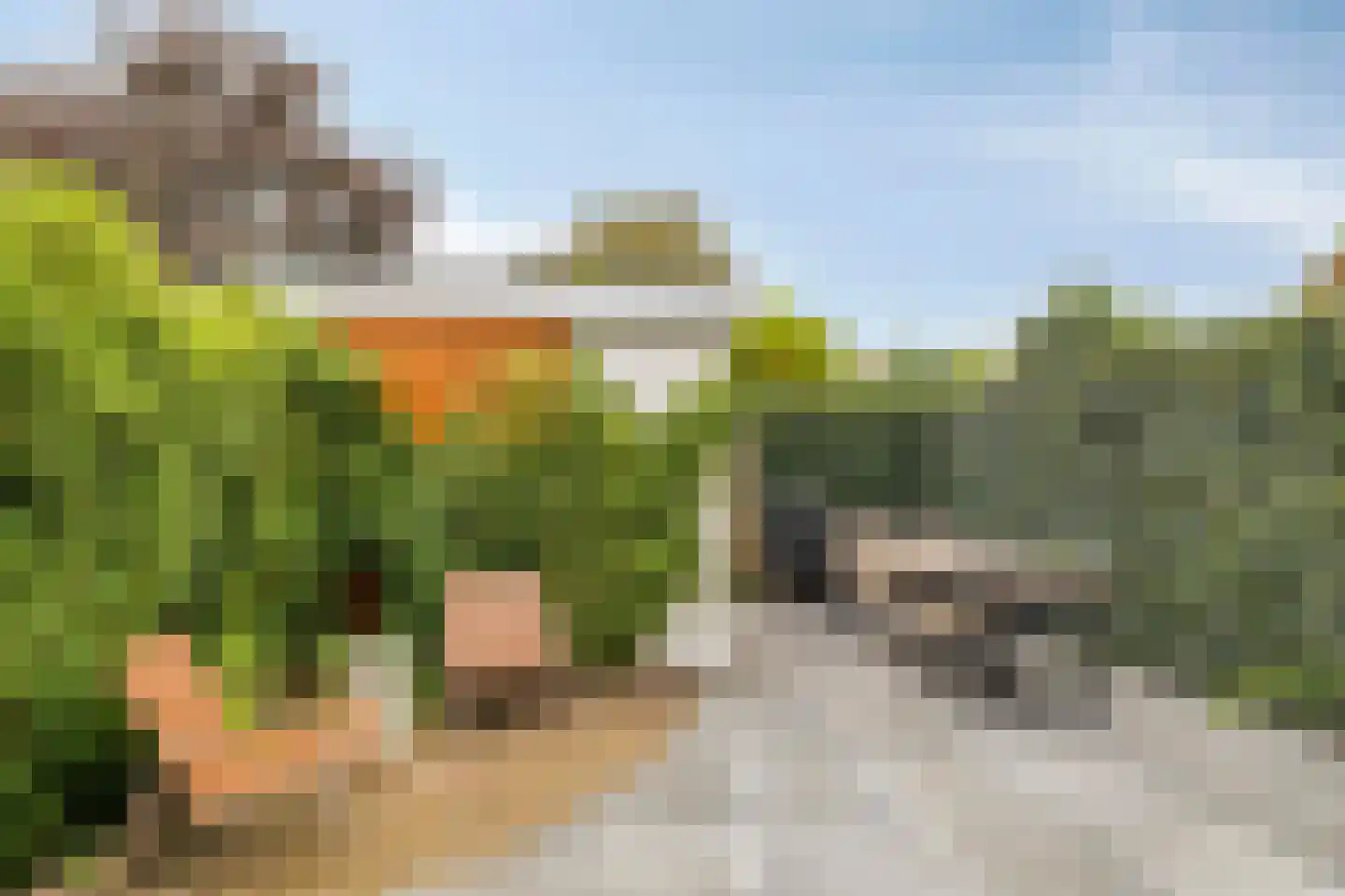 van Assendelftstraat 68 Waalwijk thumbnail 5