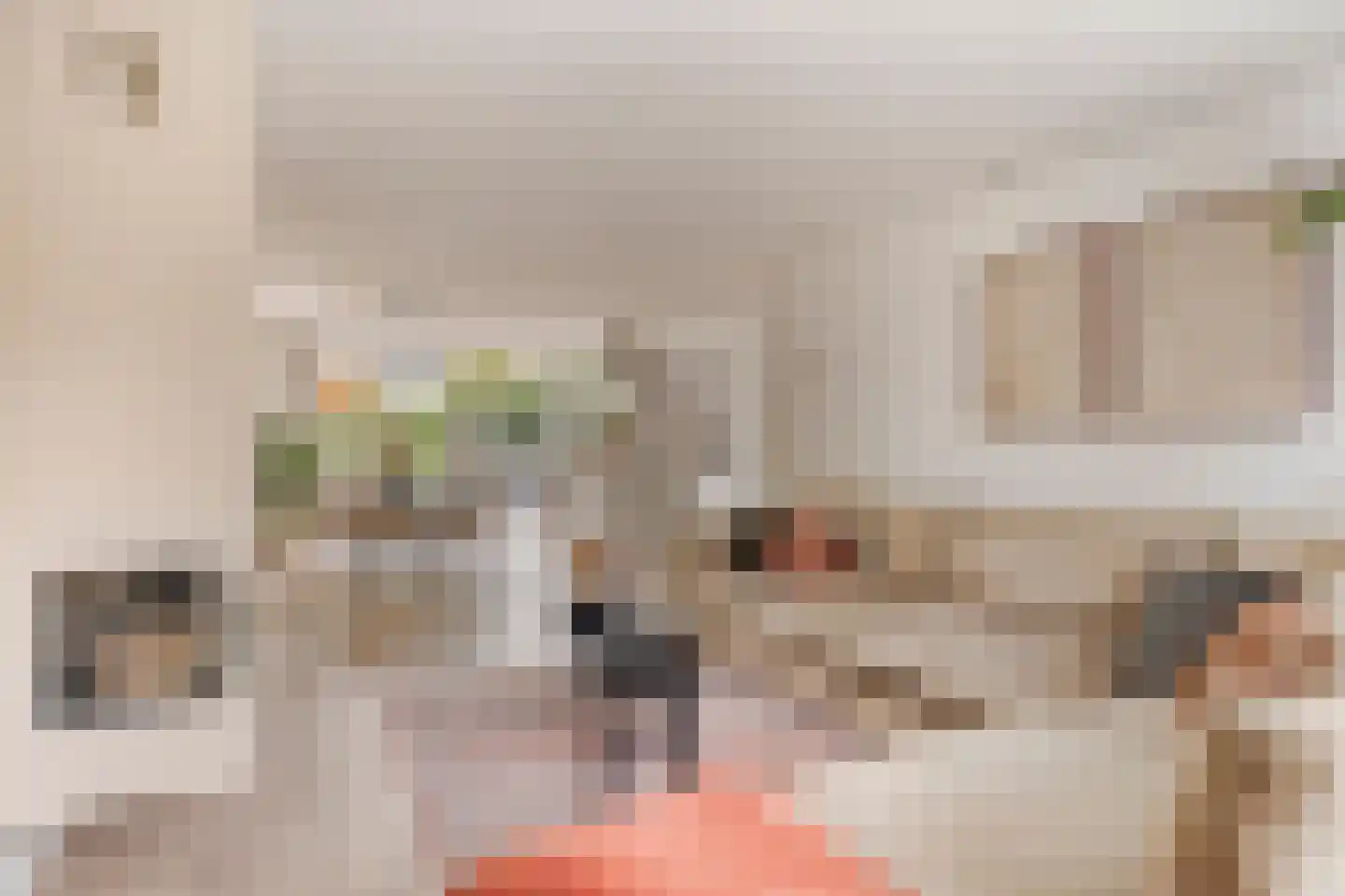 van Assendelftstraat 68 Waalwijk thumbnail 8