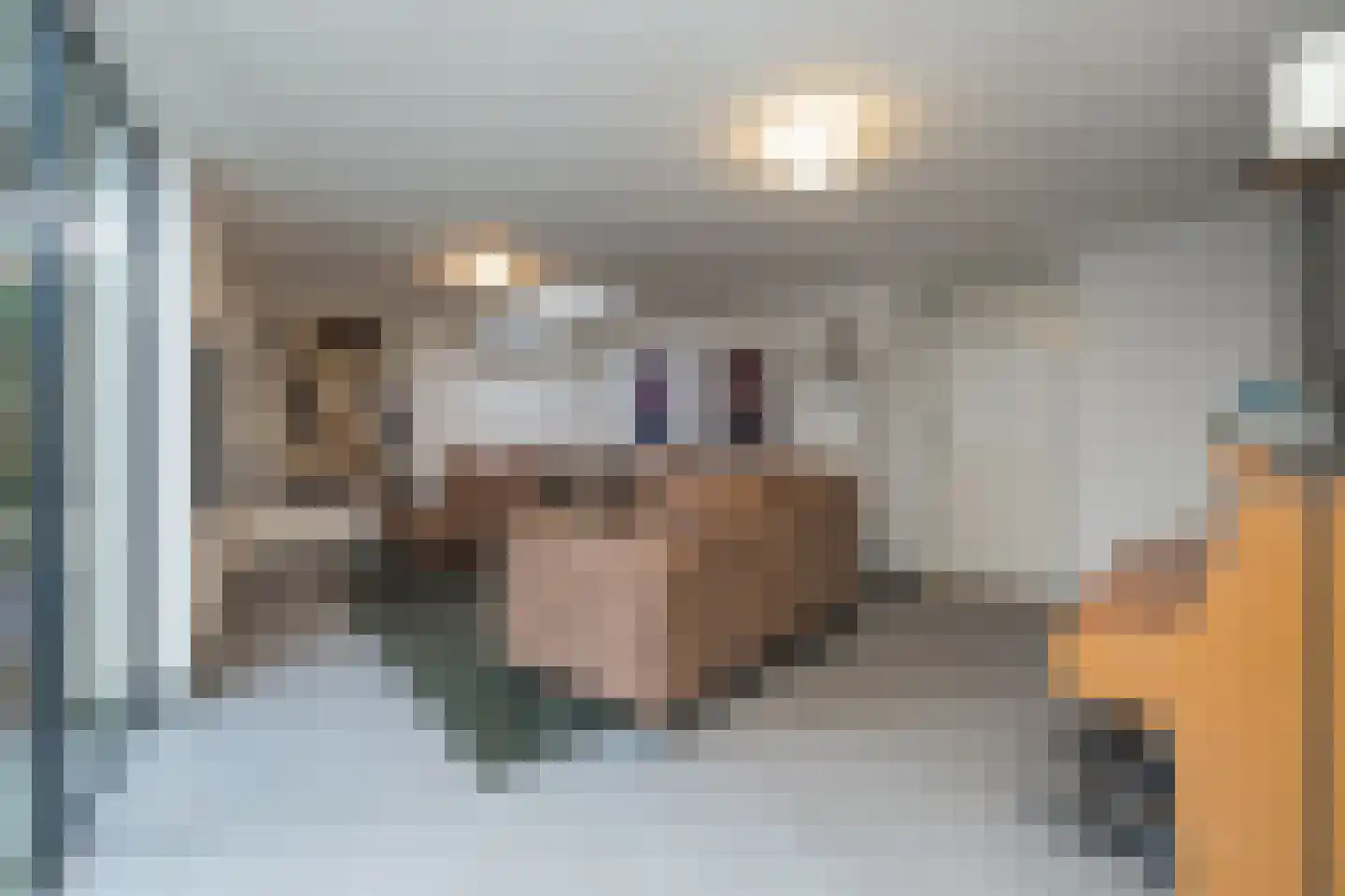 van Assendelftstraat 8 Oegstgeest thumbnail 12