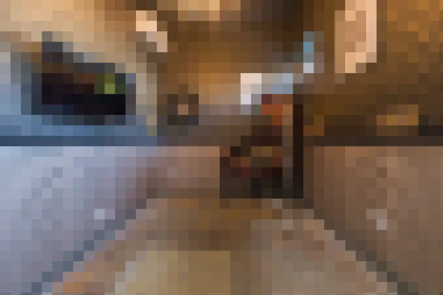 van Assendelftstraat 8 Oegstgeest thumbnail 18