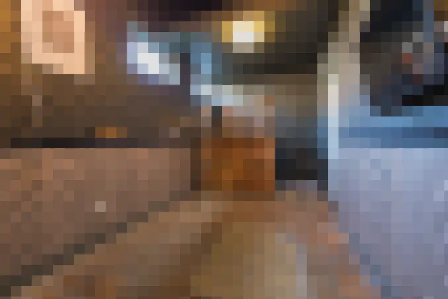 van Assendelftstraat 8 Oegstgeest thumbnail 19