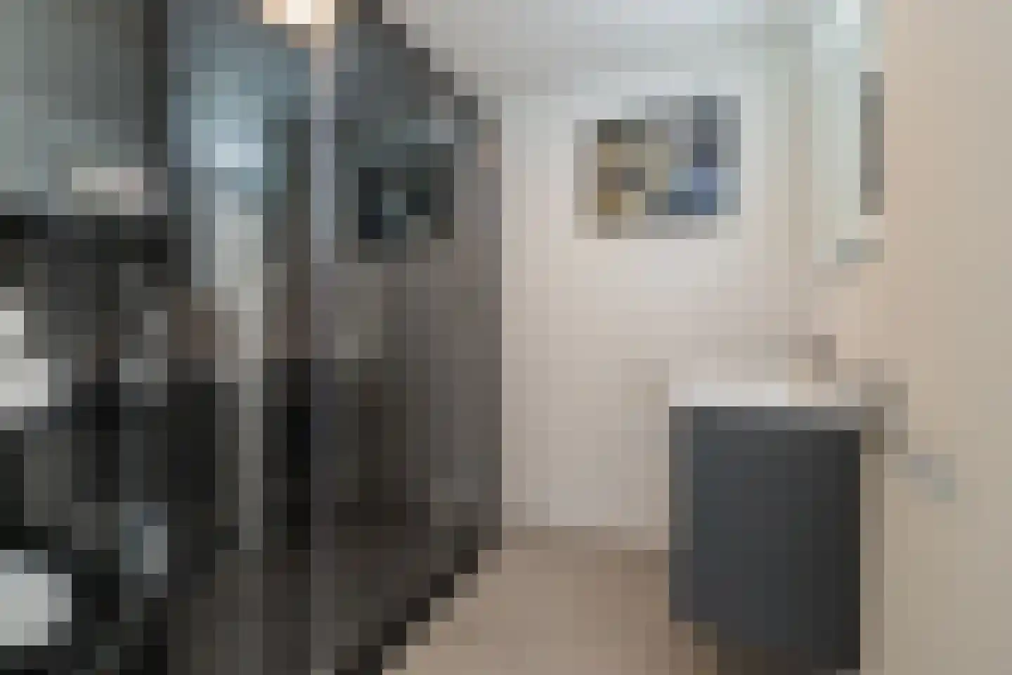 van Assendelftstraat 8 Oegstgeest thumbnail 25