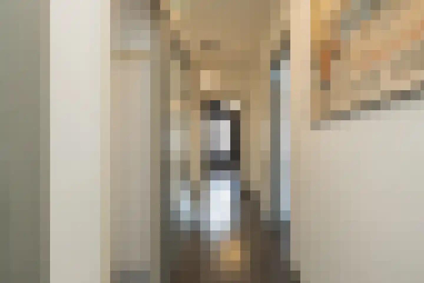 van Assendelftstraat 8 Oegstgeest thumbnail 27