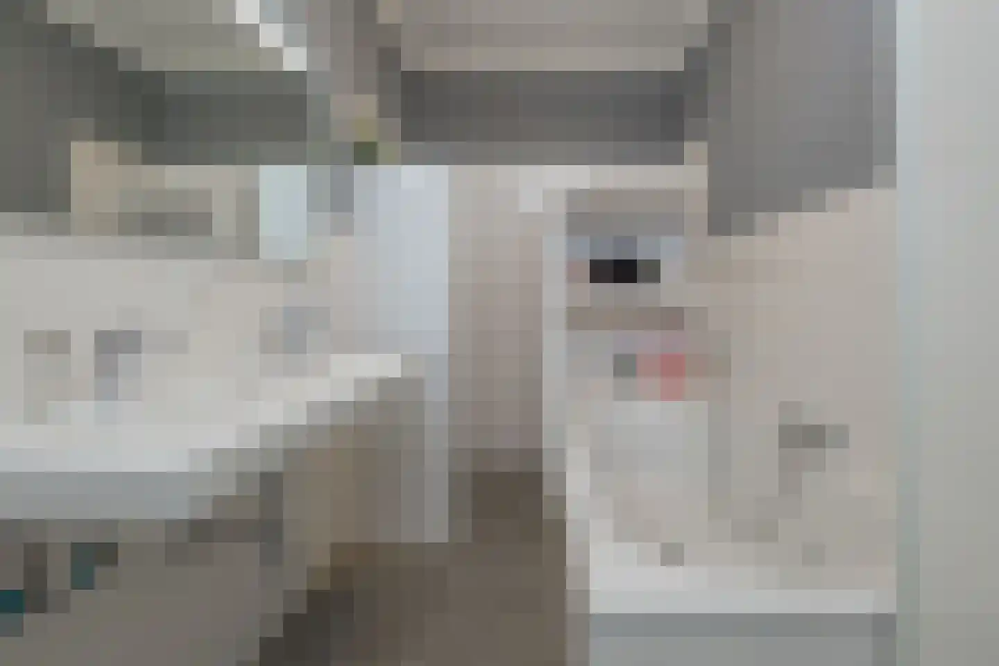 van Assendelftstraat 8 Oegstgeest thumbnail 32