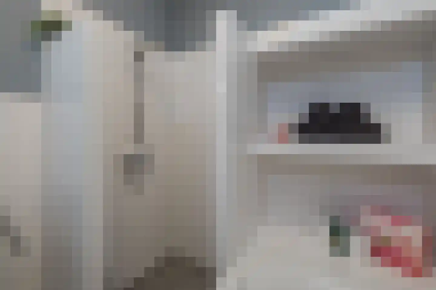 van Assendelftstraat 8 Oegstgeest thumbnail 33
