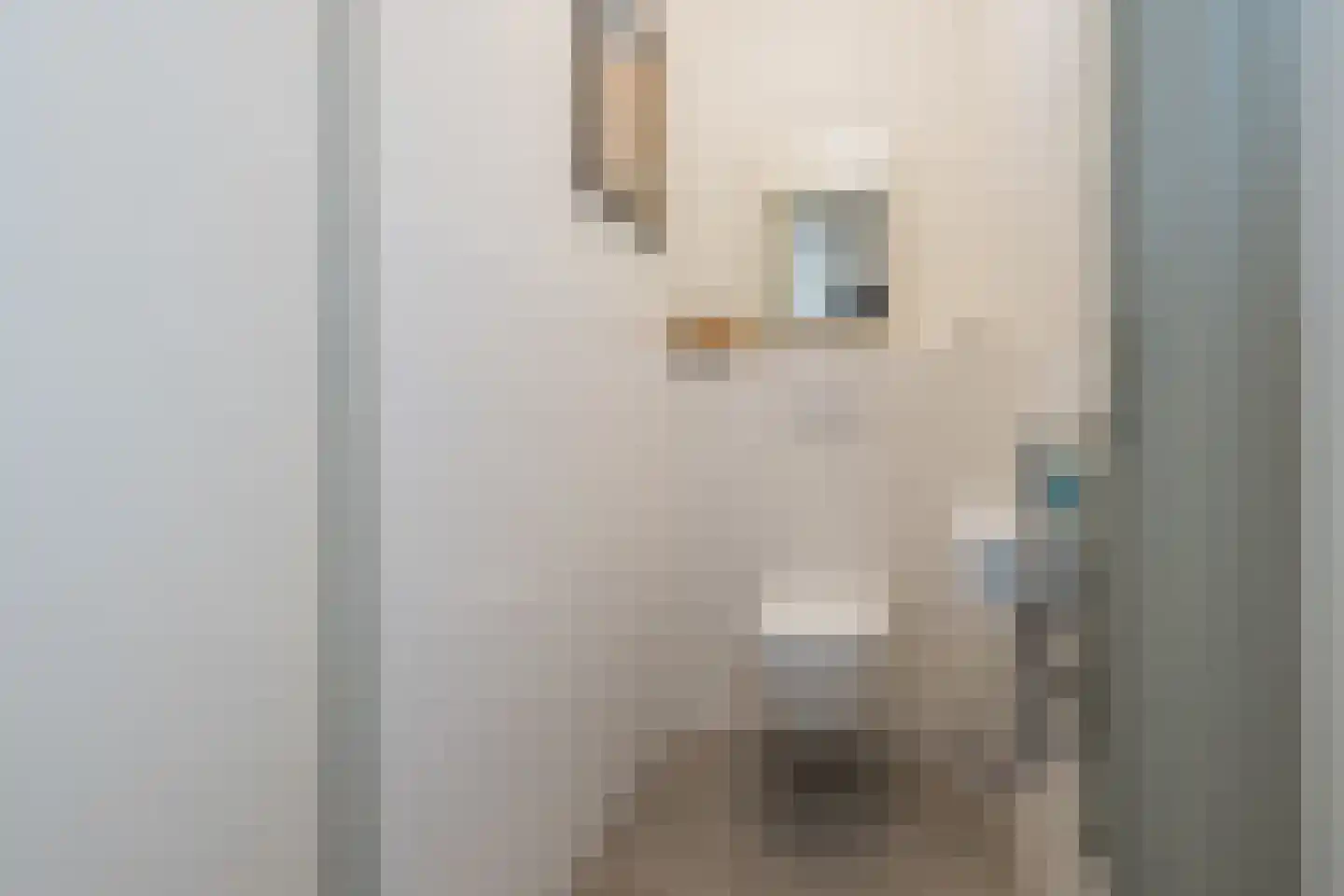 van Assendelftstraat 8 Oegstgeest thumbnail 4