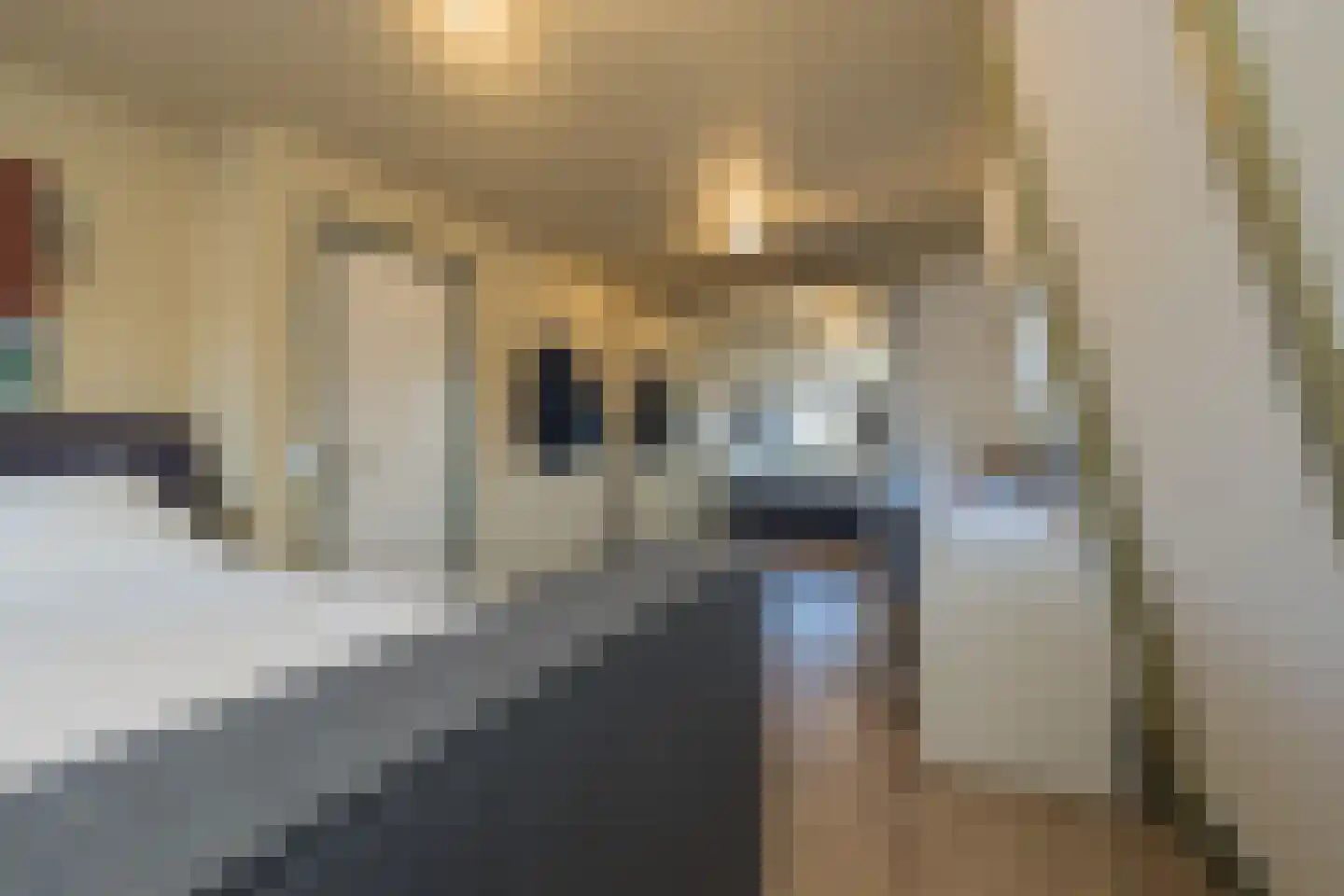 van Assendelftstraat 8 Oegstgeest thumbnail 40