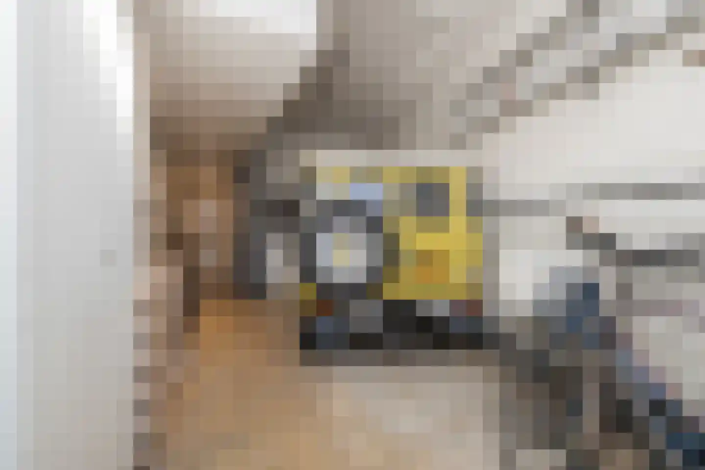 van Assendelftstraat 8 Oegstgeest thumbnail 56