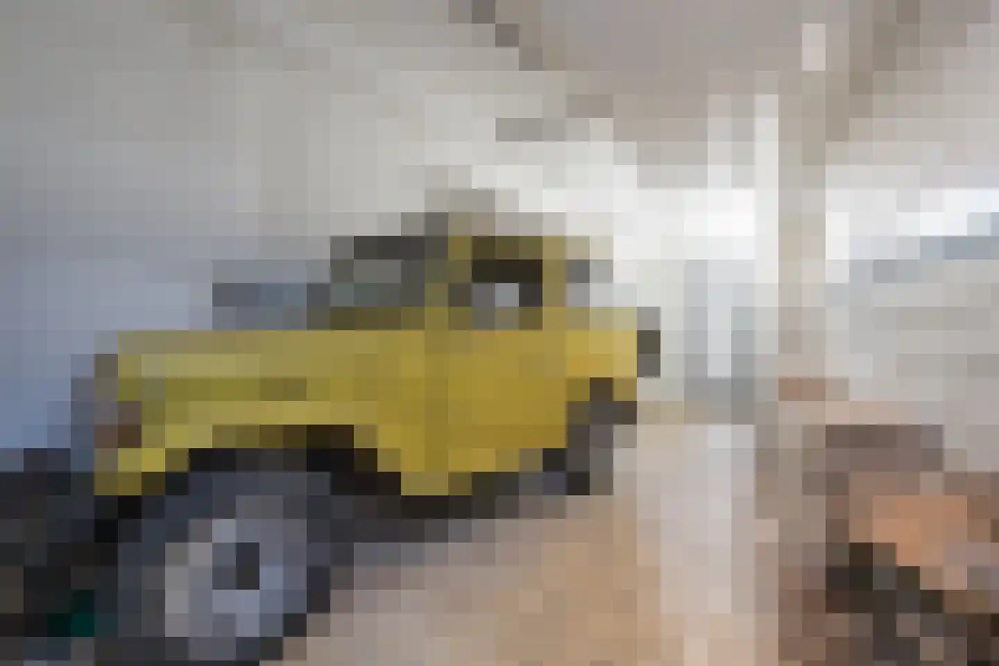 van Assendelftstraat 8 Oegstgeest thumbnail 57