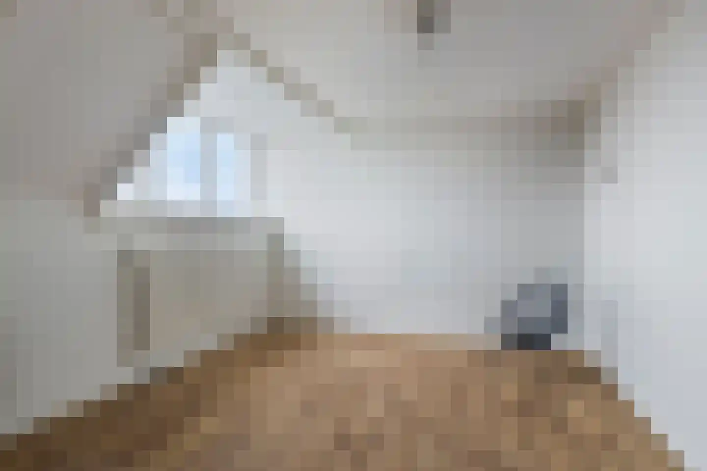 van Assendelftstraat 92 Waalwijk thumbnail 29