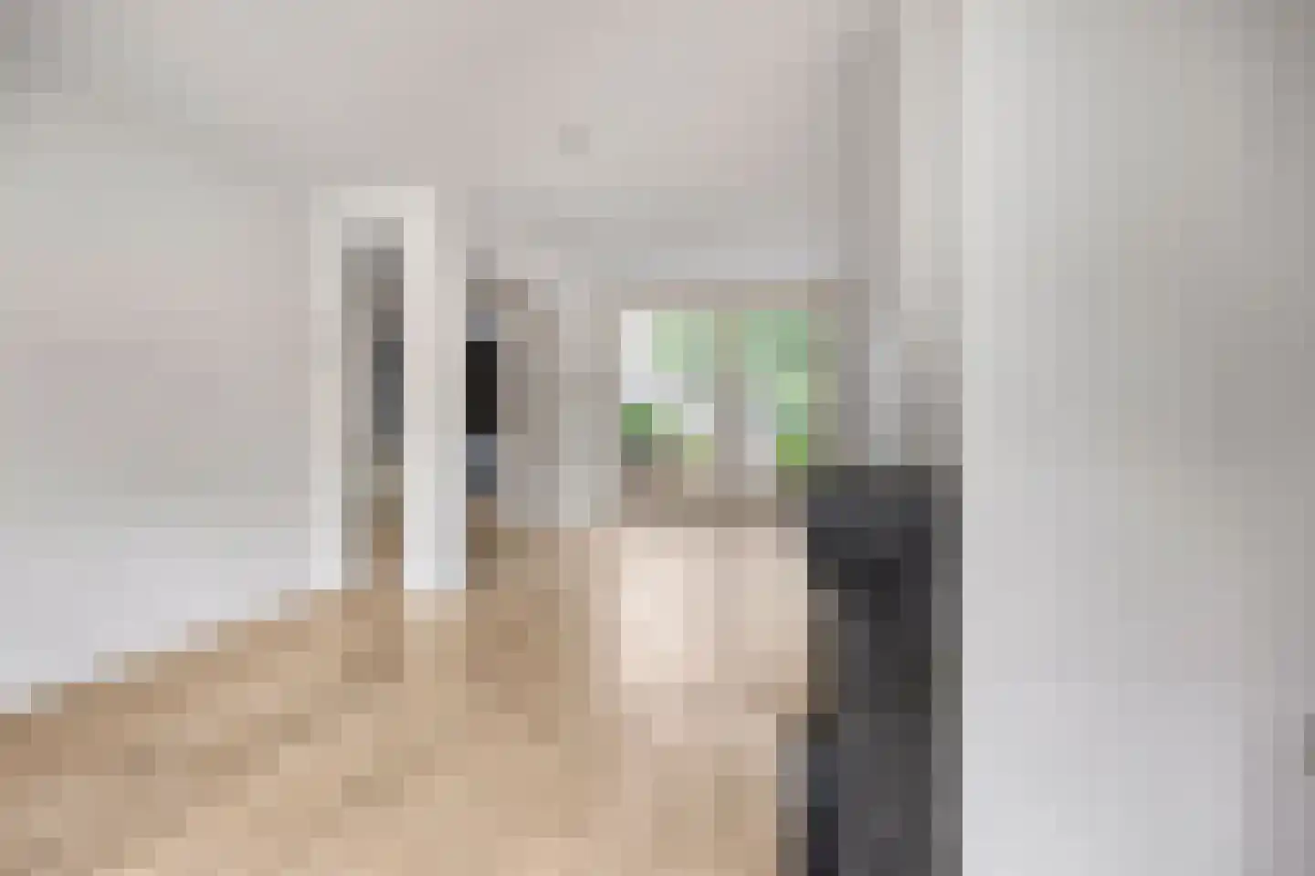 van Assendelftstraat 92 Waalwijk thumbnail 9