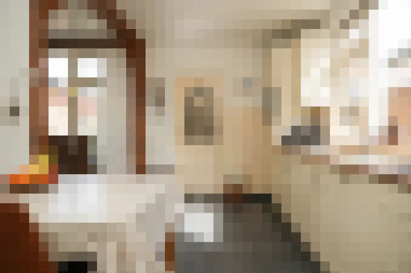 van Axelestraat 6 Dussen thumbnail 10