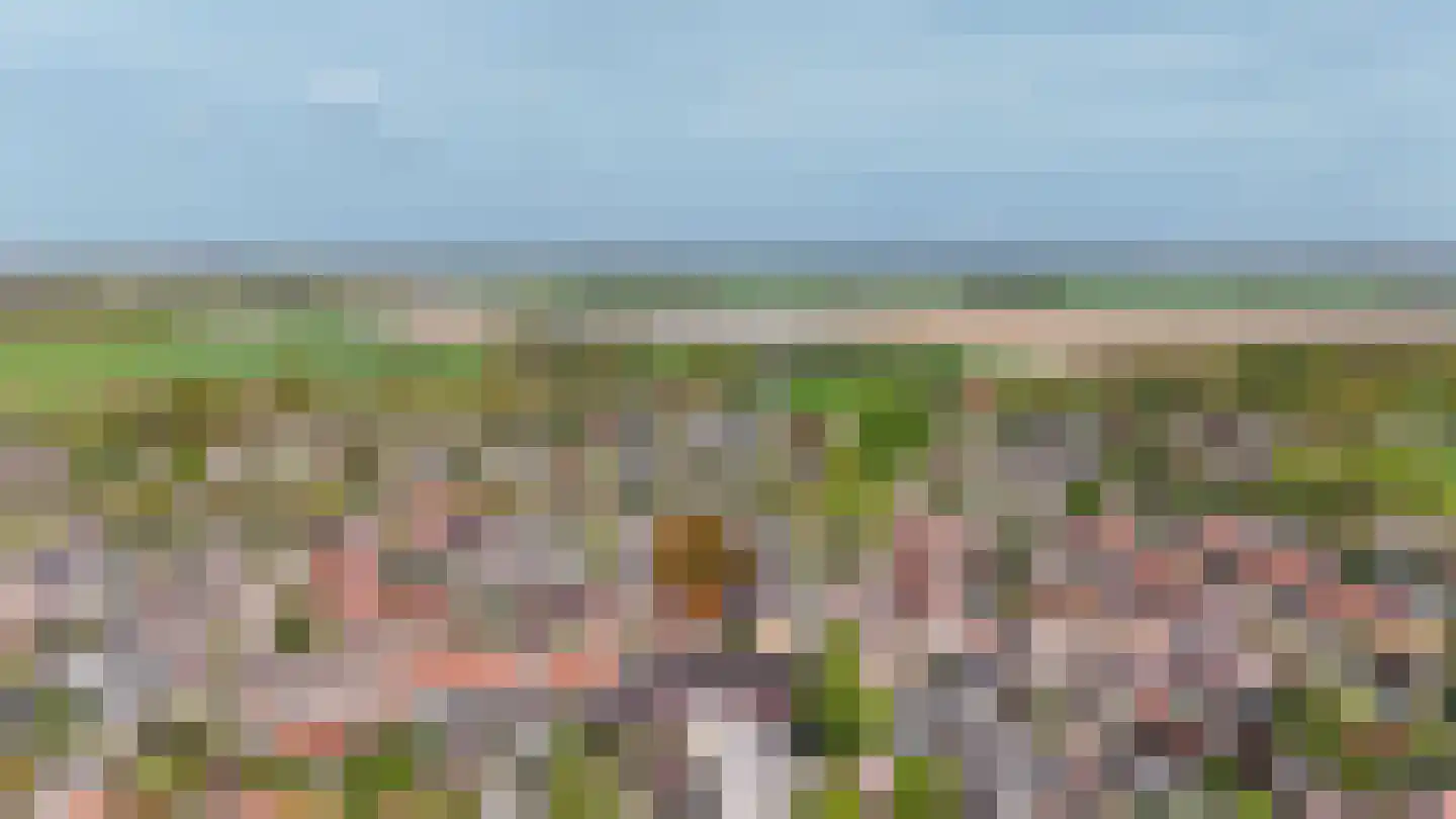 van Axelestraat 6 Dussen thumbnail 41