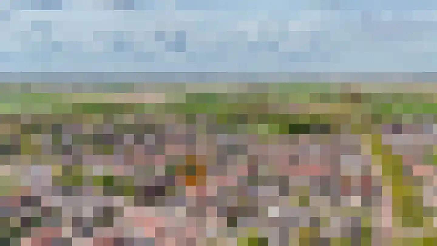 van Axelestraat 6 Dussen thumbnail 42