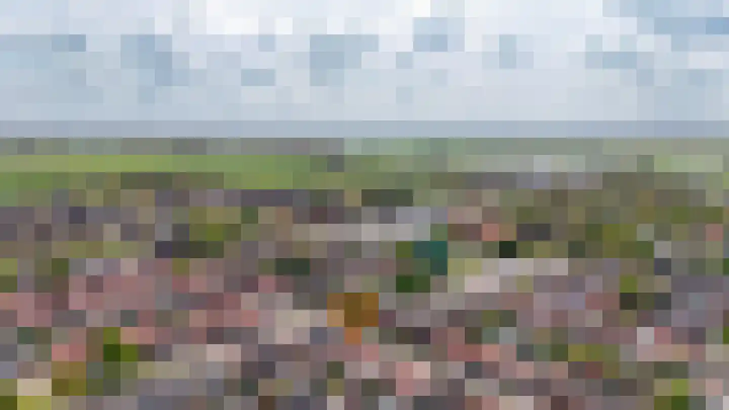 van Axelestraat 6 Dussen thumbnail 43