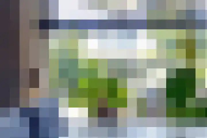 van Aylvalaan 15 Mildam thumbnail 10