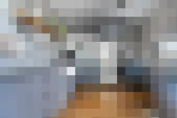 van Aylvalaan 15 Mildam thumbnail 12