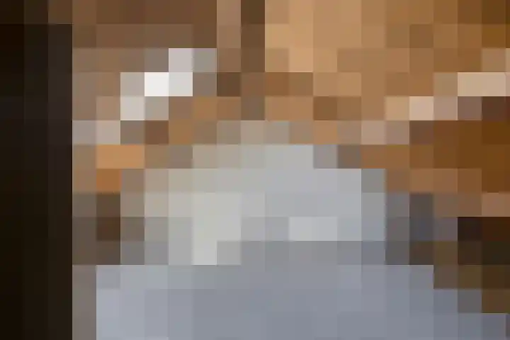 van Aylvalaan 15 Mildam thumbnail 25