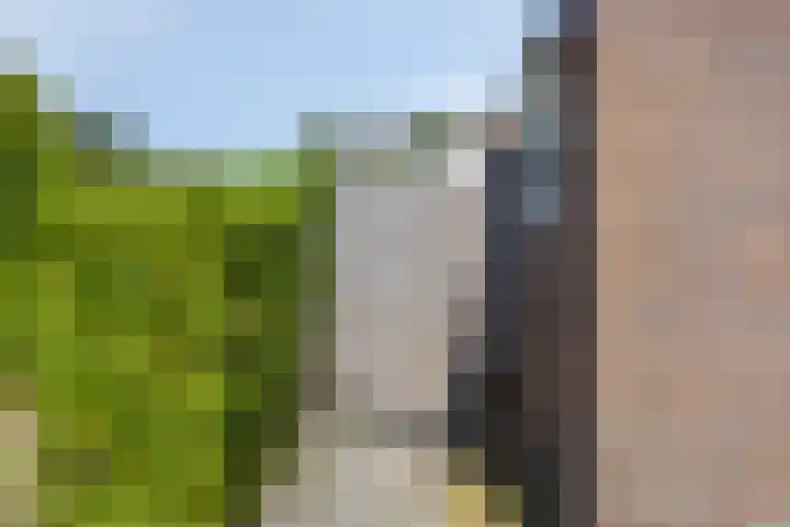 van Aylvalaan 15 Mildam thumbnail 30