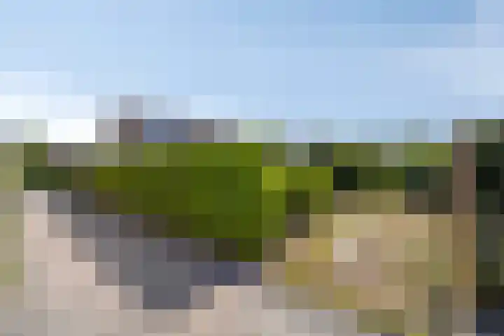 van Aylvalaan 15 Mildam thumbnail 32