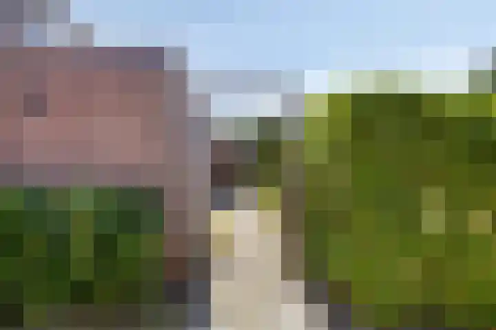 van Aylvalaan 15 Mildam thumbnail 33