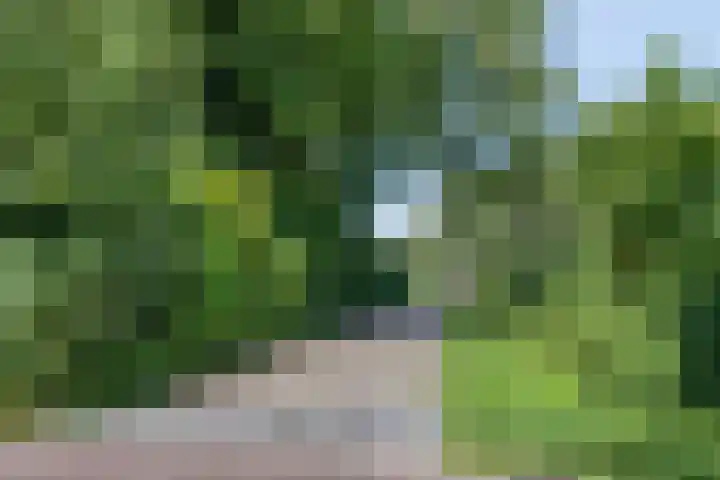 van Aylvalaan 15 Mildam thumbnail 40