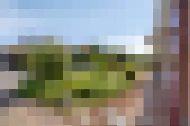 van Aylvalaan 15 Mildam thumbnail 41