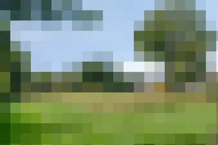 van Aylvalaan 15 Mildam thumbnail 43