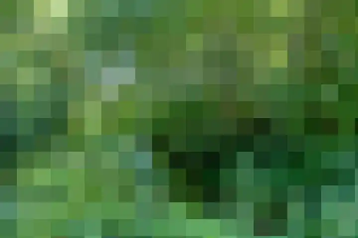 van Aylvalaan 15 Mildam thumbnail 45