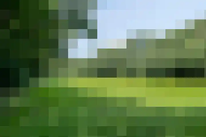 van Aylvalaan 15 Mildam thumbnail 47