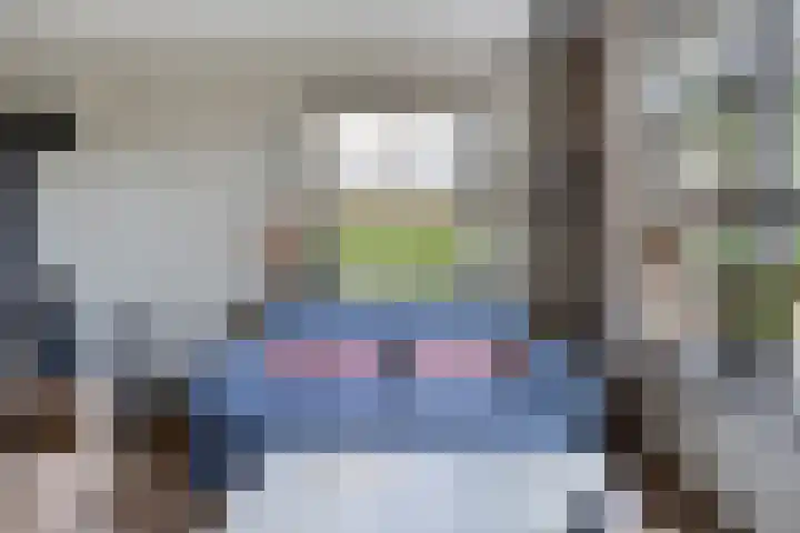 van Aylvalaan 15 Mildam thumbnail 6
